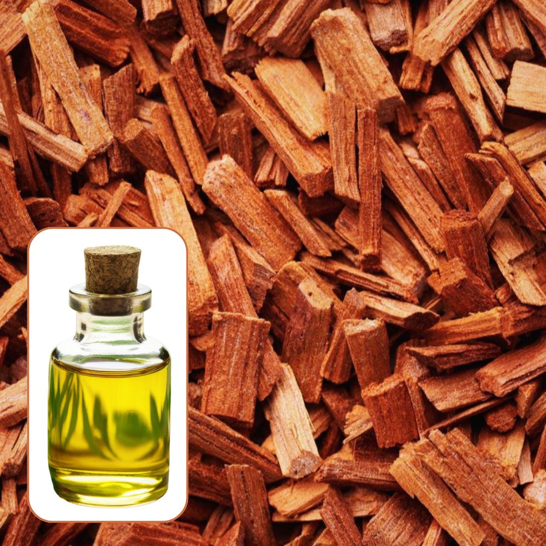 3 45831ff0 0ff7 4efd 9d02 3bea448e23f4