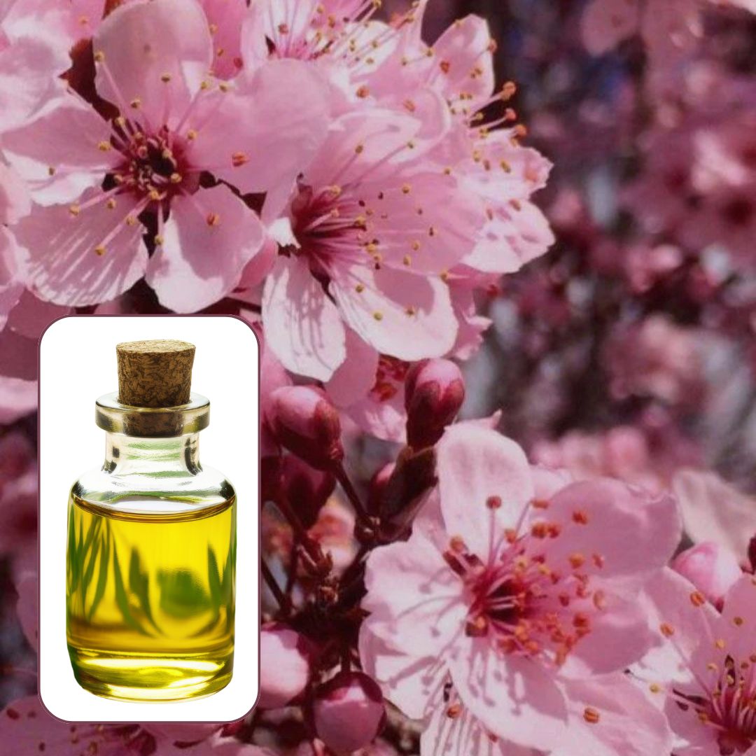 japanese cherry (fruity) fragrance