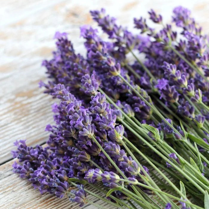 café coffee (aroma, most demand) fragrance (copy) (copy)