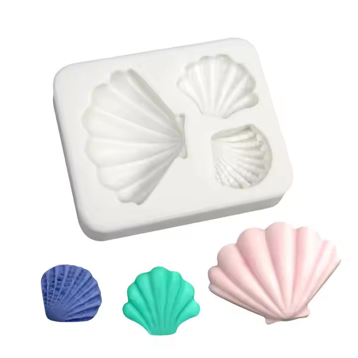 sea shell conch
