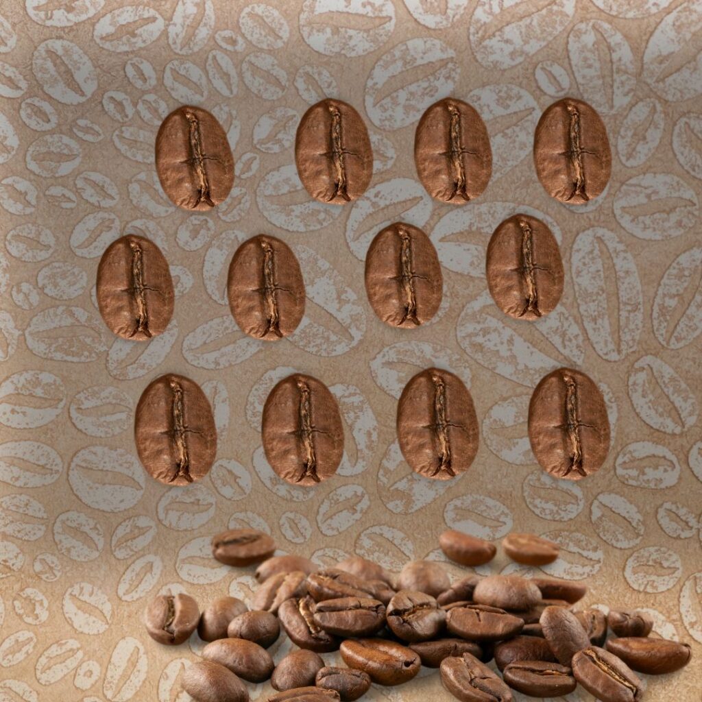 raw coffee bean mould